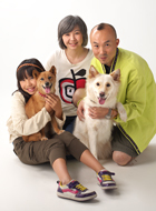 2011年